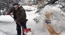 VIDEO Ljubimci i zimske radosti nam uvijek donose zabavu